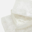 Osias Resin Box - Set of 2