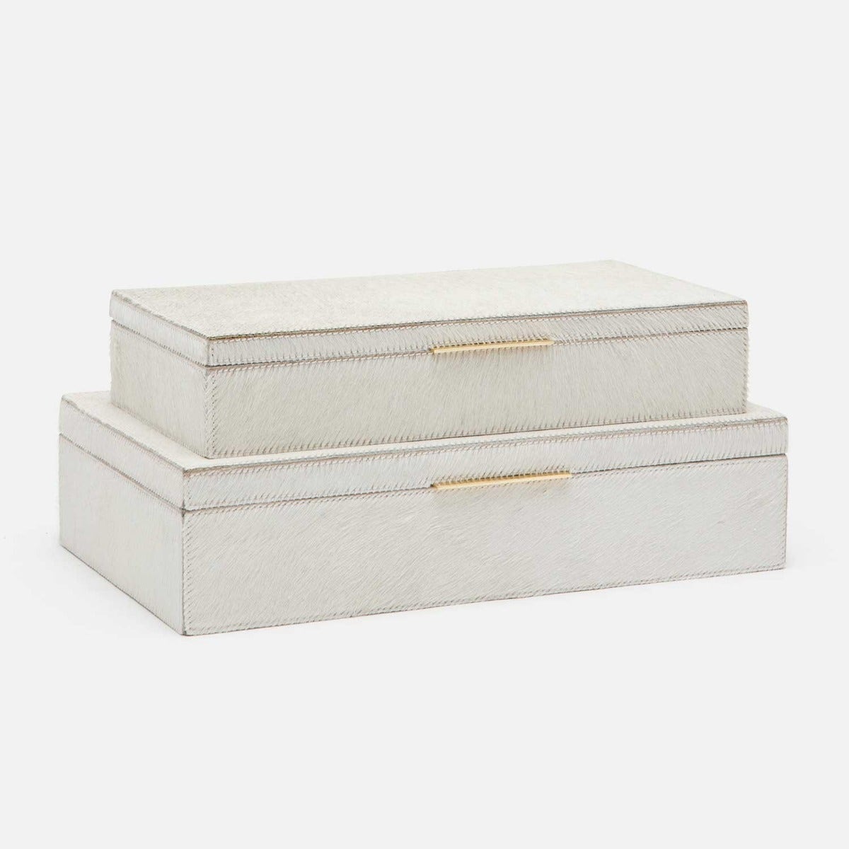 Ralston Decorative Storage Box - Set of 2
