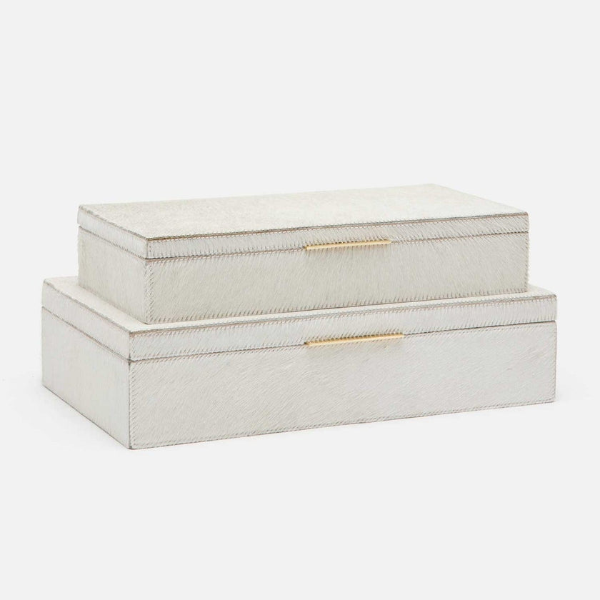 Ralston Decorative Storage Box - Set of 2