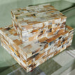 Sarlic Mixed Horn Box - Set of 2