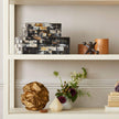 Sarlic Mixed Horn Box - Set of 2