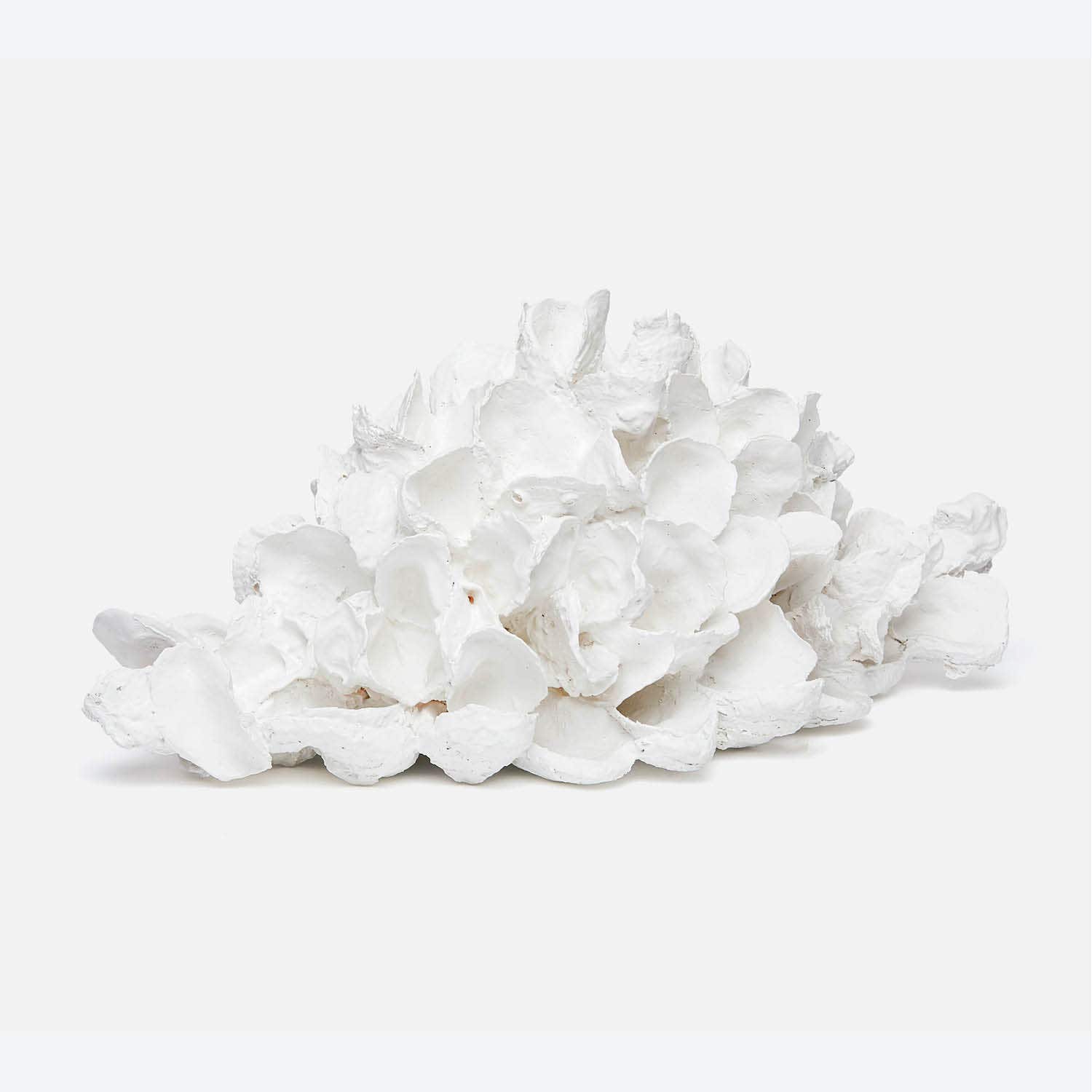 Sonia Oyster Shell Sculpture