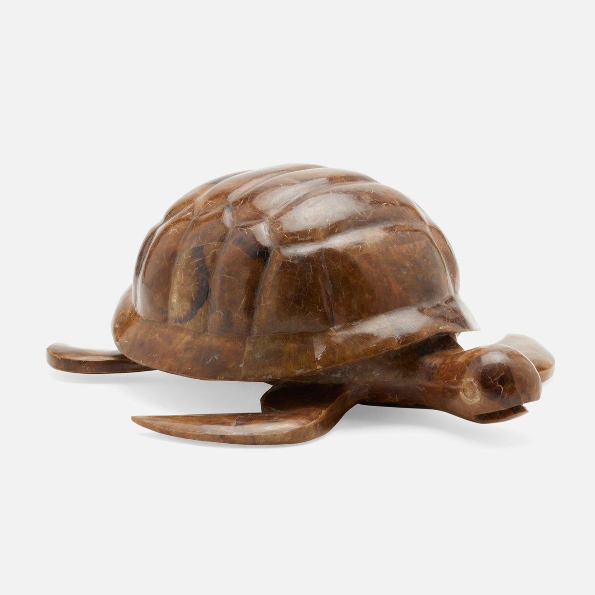 Theodore Amber Tortoise Object