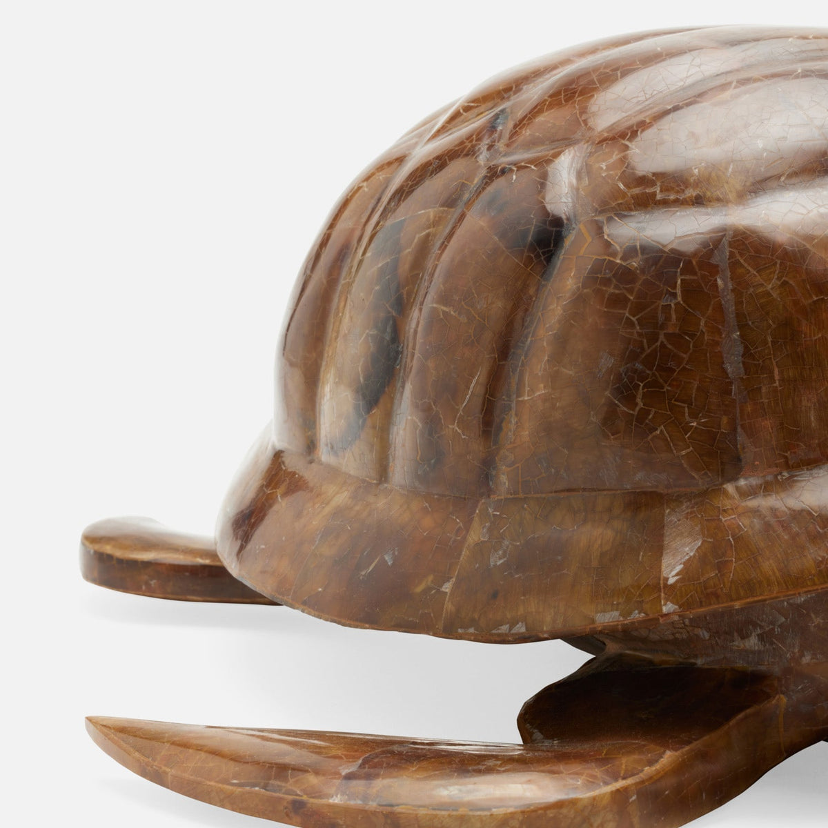 Theodore Amber Tortoise Object