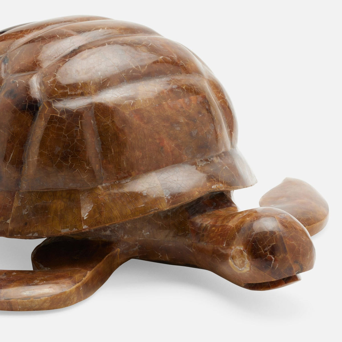 Theodore Amber Tortoise Object