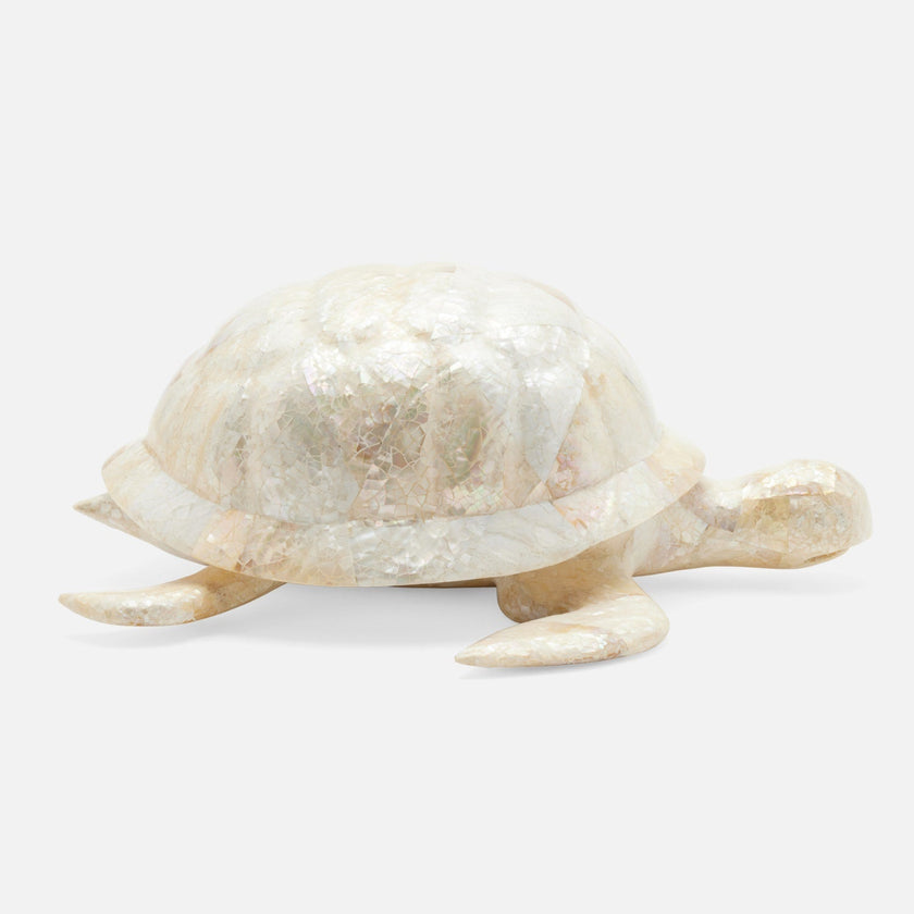 Theodore Amber Tortoise Object