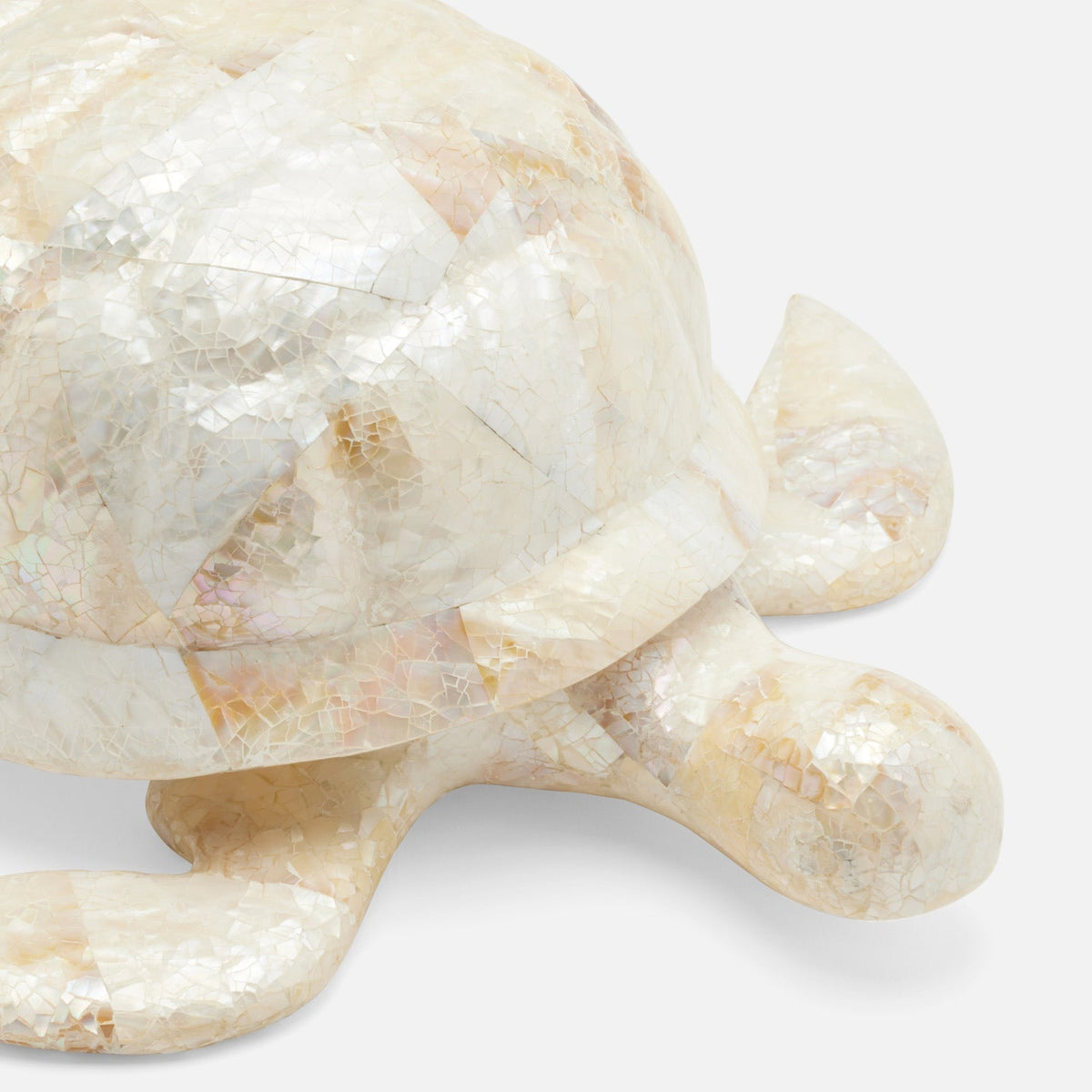 Theodore Amber Tortoise Object