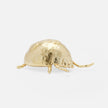 Wisteria Handcrafted Insect Accents - Set of 6