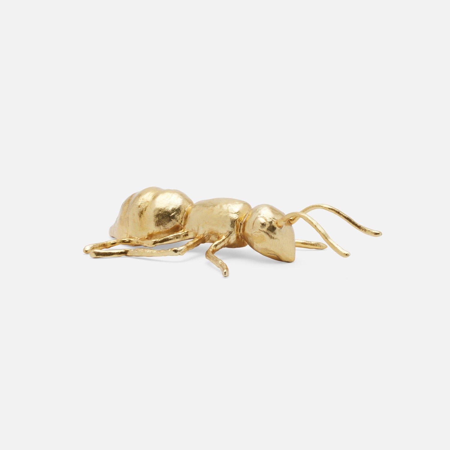 Wisteria Handcrafted Insect Accents - Set of 6