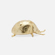 Wisteria Handcrafted Insect Accents - Set of 6