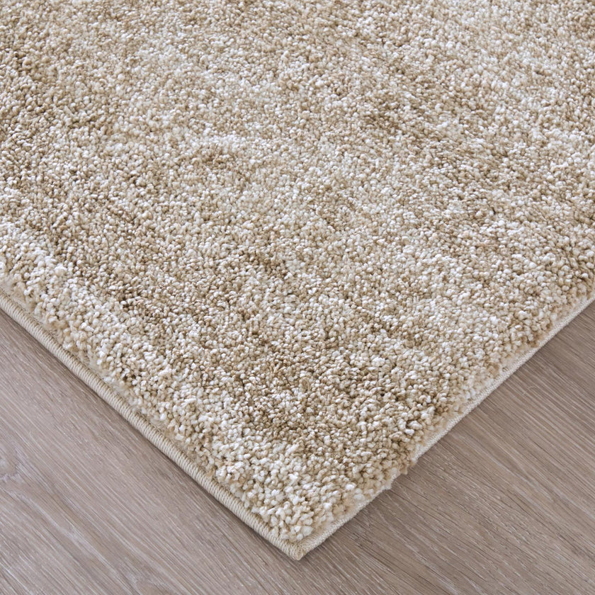 Feizy Jameson 39R8F Modern Distressed Rug