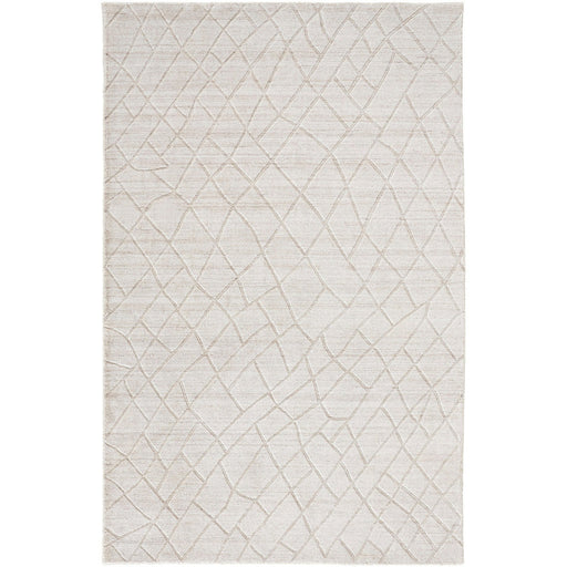 Feizy Redford 8846F Transitional Solid in Ivory/Gray