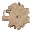 Century Furniture Grand Tour Hunter Teak Root Accent Table