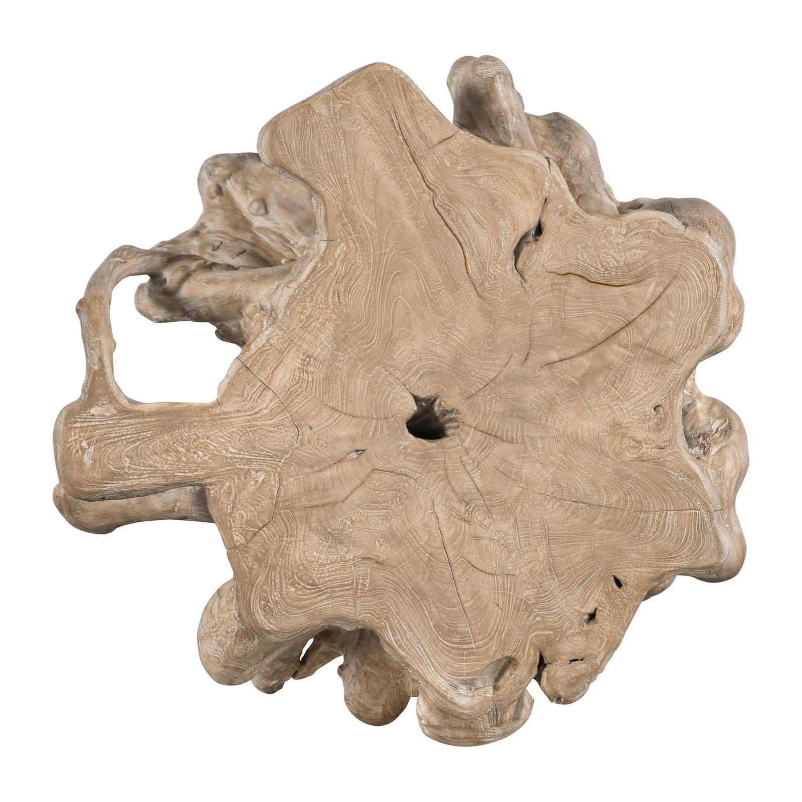 Century Furniture Grand Tour Hunter Teak Root Accent Table