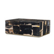 Century Furniture Grand Tour Furniture Petrified Wood Cocktail Table