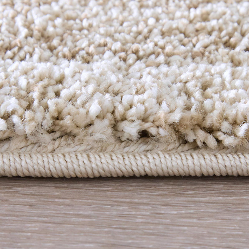 Feizy Jameson 39R8F Modern Distressed Rug