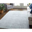 Feizy Redford 8670F Transitional Solid in White/Silver