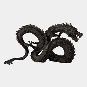Global Views Dragon