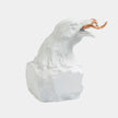 Global Views Raven with Worm Clearance