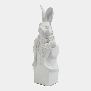 Global Views Rabbit in Tux
