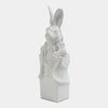Global Views Rabbit in Tux