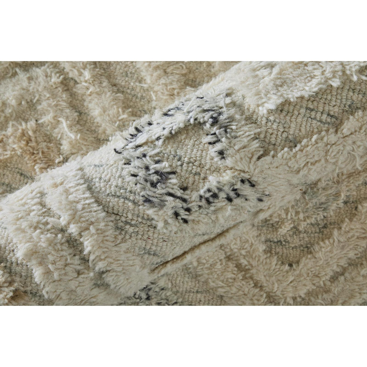 Feizy Anica 8004F Transitional Moroccan Rug in Ivory/Gray/Black