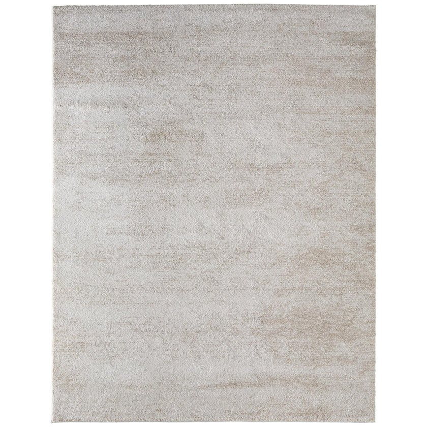 Feizy Jameson 39R8F Modern Distressed Rug