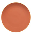 Vista Alegre Mar Charger Plate Salmon