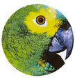 Vista Alegre Olhar O Brasil Charger Plate Parrot By Chico Gouveia