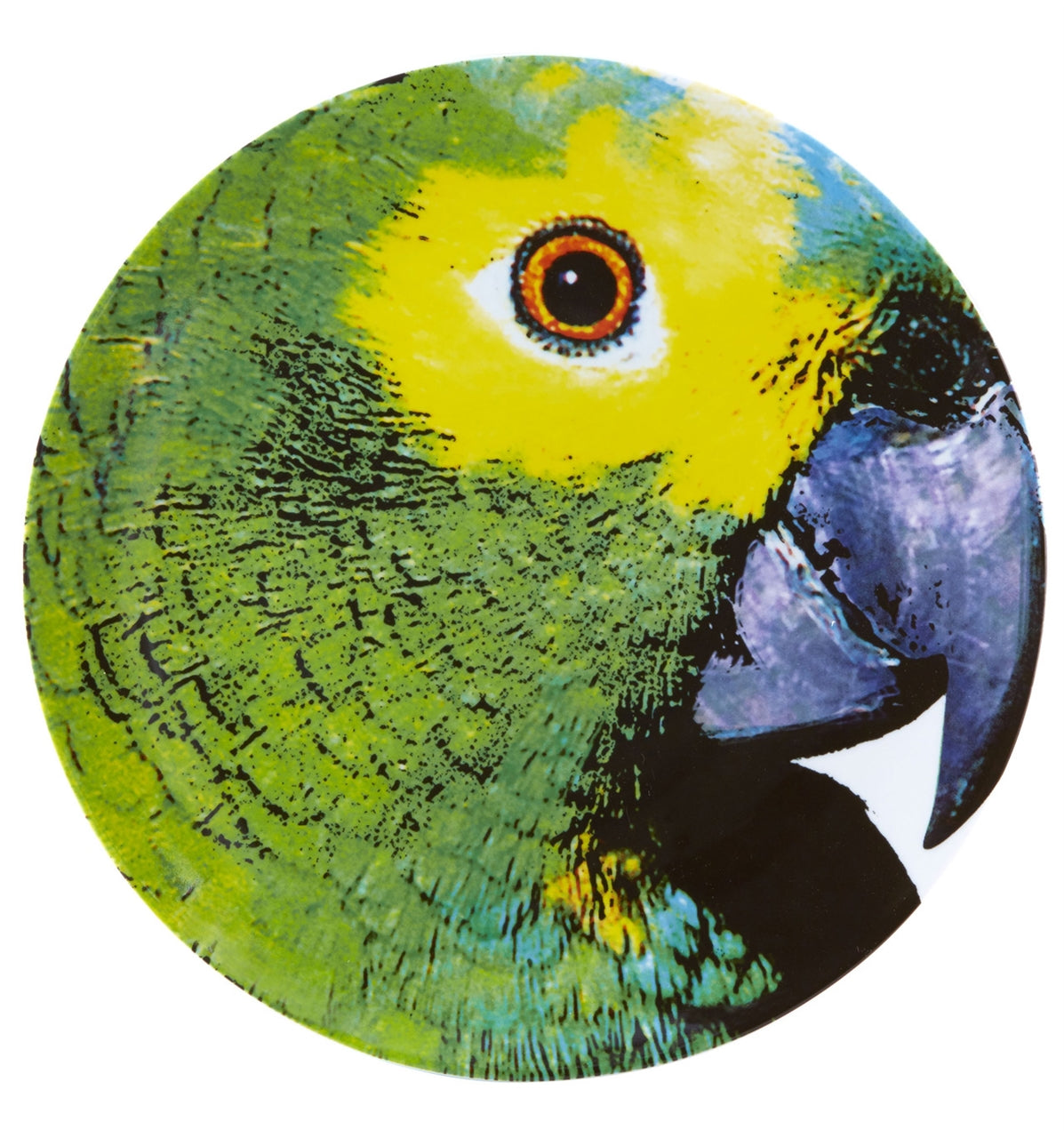 Vista Alegre Olhar O Brasil Charger Plate Parrot By Chico Gouveia