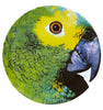 Vista Alegre Olhar O Brasil Charger Plate Parrot By Chico Gouveia