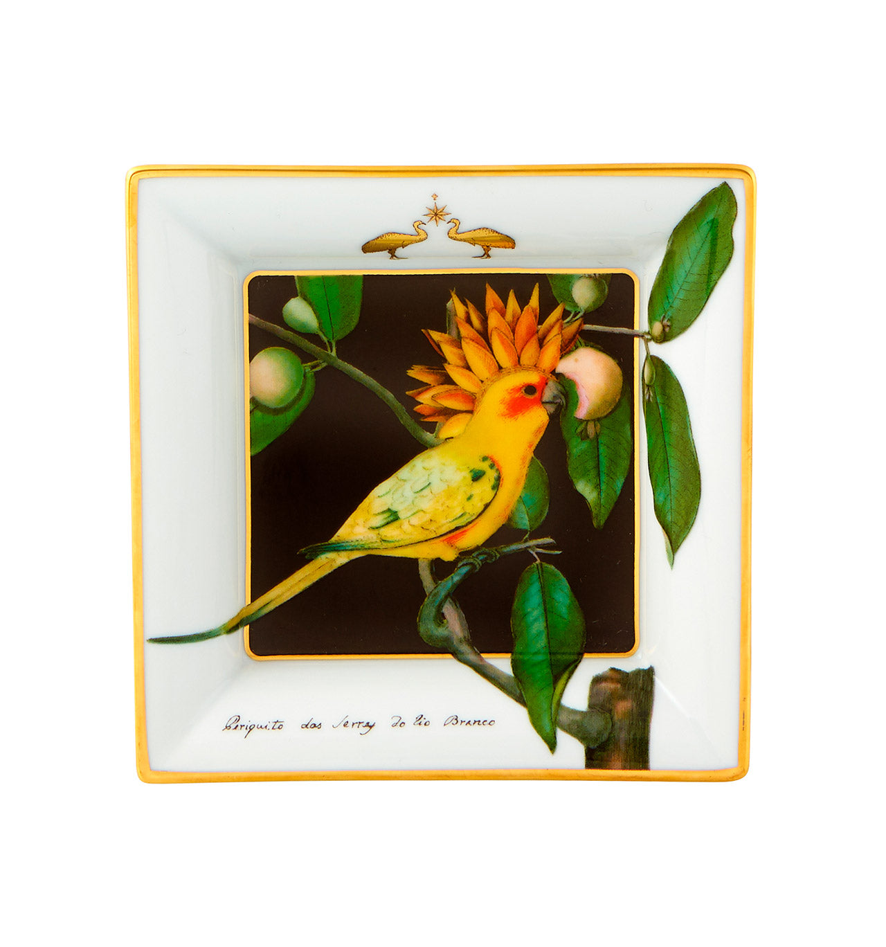 Vista Alegre Amazonia Small Square Tray