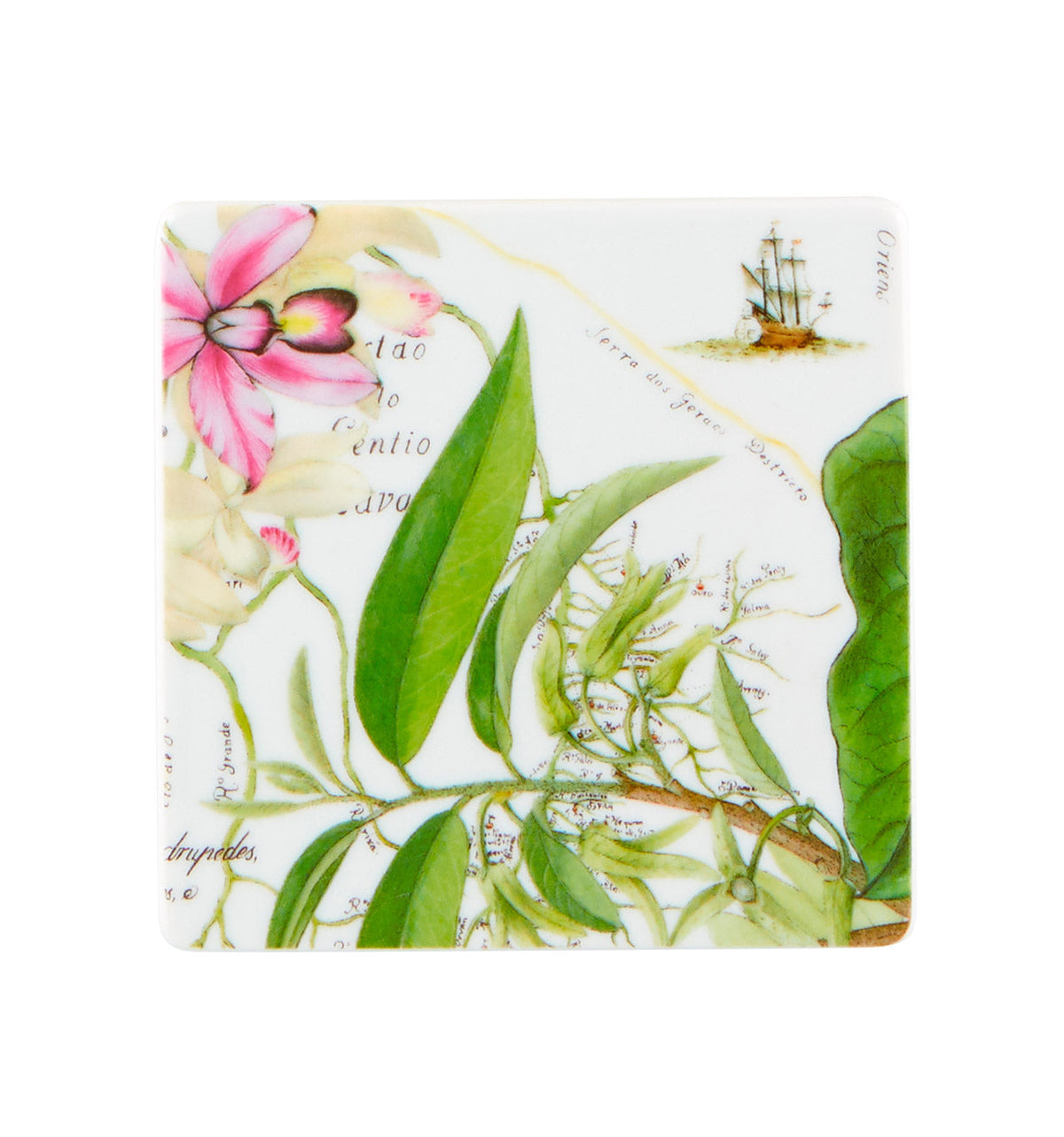 Vista Alegre Amazonia Coasters - Set of 4