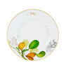 Vista Alegre Amazonia Dinner Plate