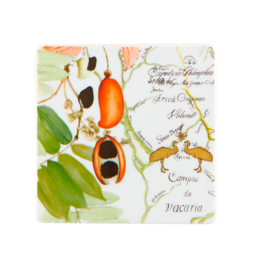 Vista Alegre Amazonia Coasters - Set of 4