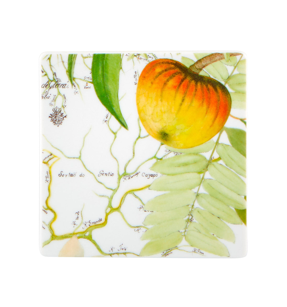 Vista Alegre Amazonia Coasters - Set of 4
