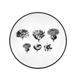 Vista Alegre Christian Lacroix - Herbariae Bread And Butter Plate By Christian Lacroix