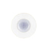 Vista Alegre Constellation D'Or Soup Plate