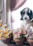 Lladro Please Come Home Dogs Figurine