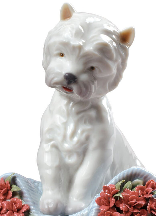 Lladro Playful Character Dog Figurine