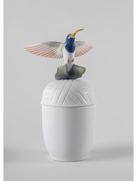 Lladro Hummingbird Box