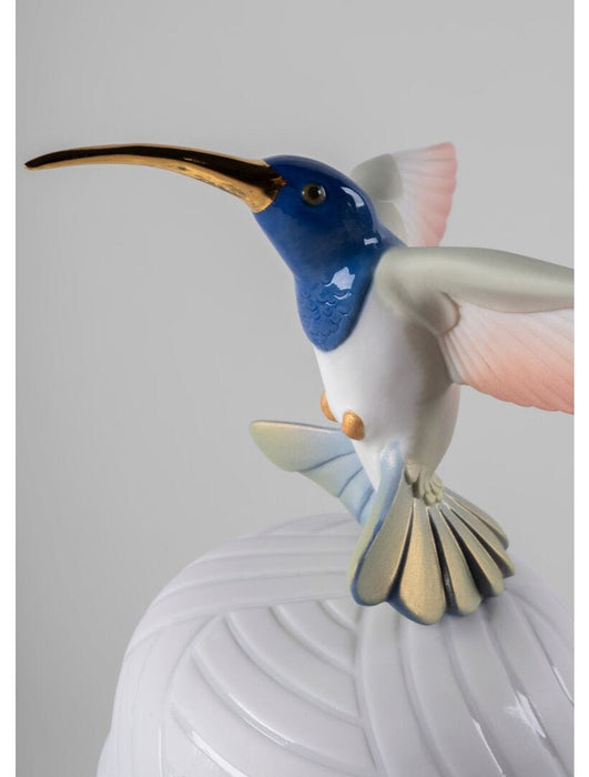 Lladro Hummingbird Box