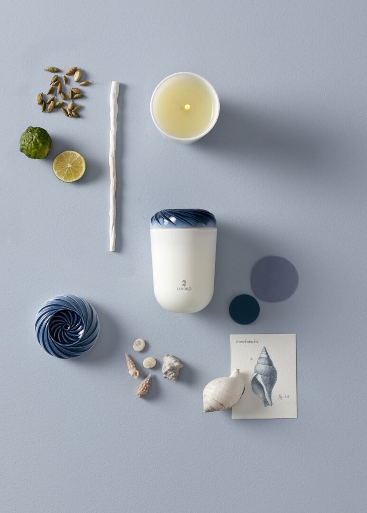 Lladro Echoes of Nature Candle