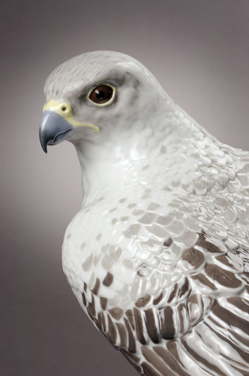 Lladro Gyrfalcon Sculpture Limited Edition