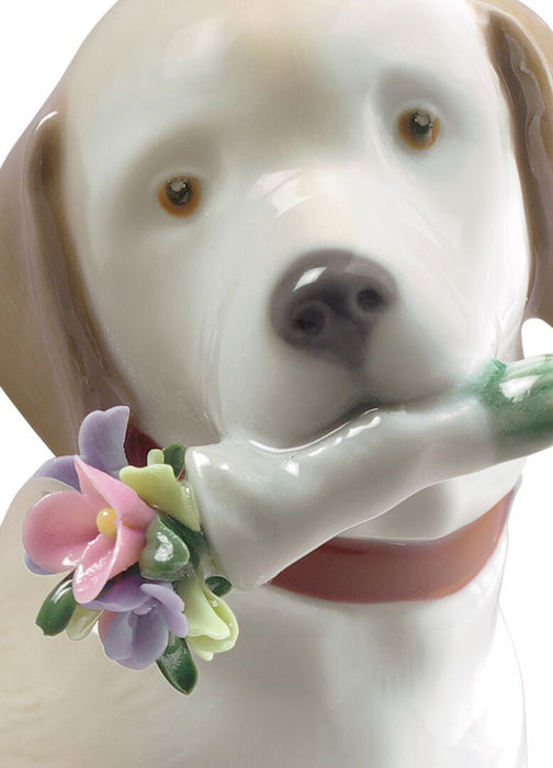 Lladro This Bouquet Is for You Dog Figurine