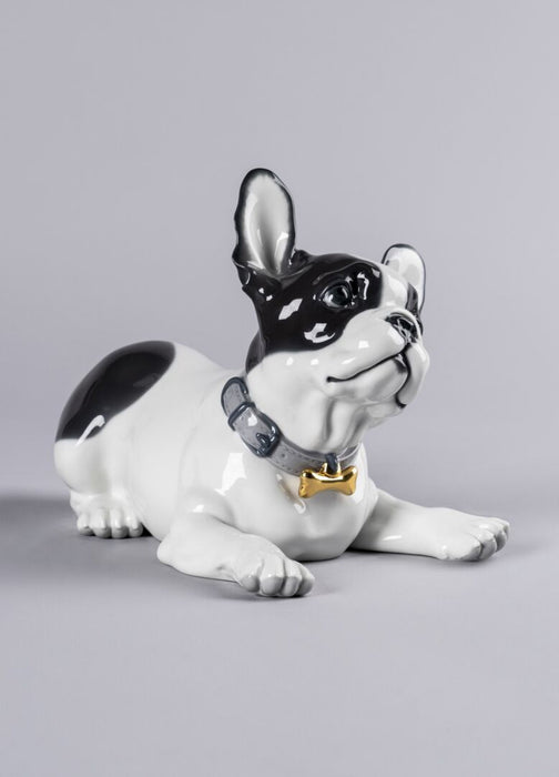 Lladro French Bulldog with Macarons Dog Figurine