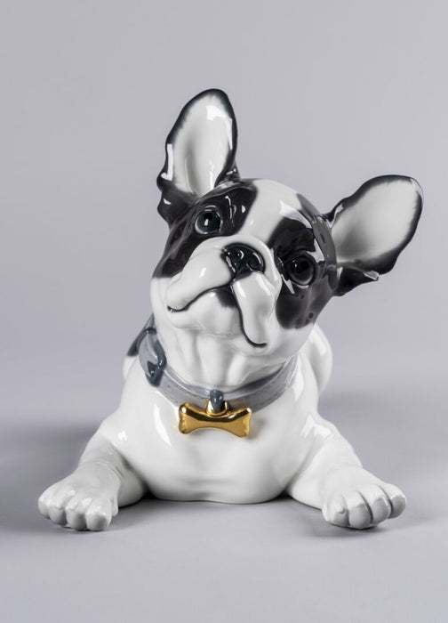 Lladro French Bulldog with Macarons Dog Figurine