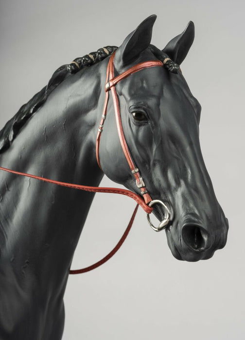 Lladro English Purebred Horse Sculpture