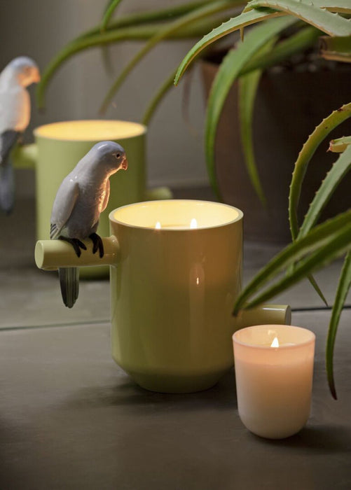 Lladro Parrot's Scented Treasure On The Prairie Scent