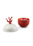 Lladro Coral Candle Mediterranean Beach Scent